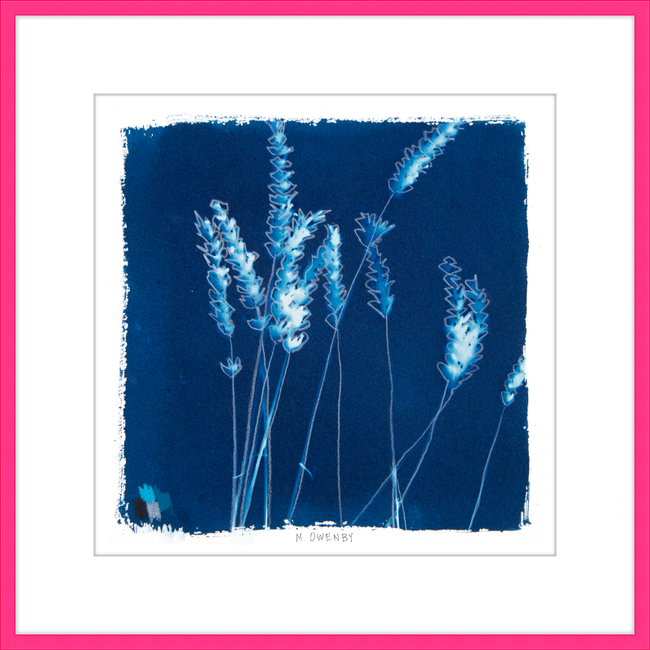 Lavender-gallery-48954439106851