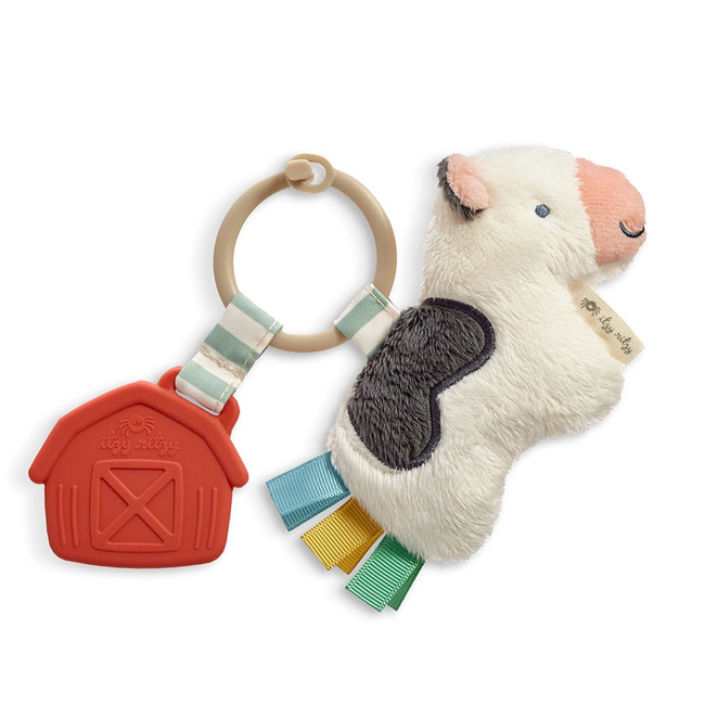 Itzy Pal™ Infant Toy-gallery-36760666407083