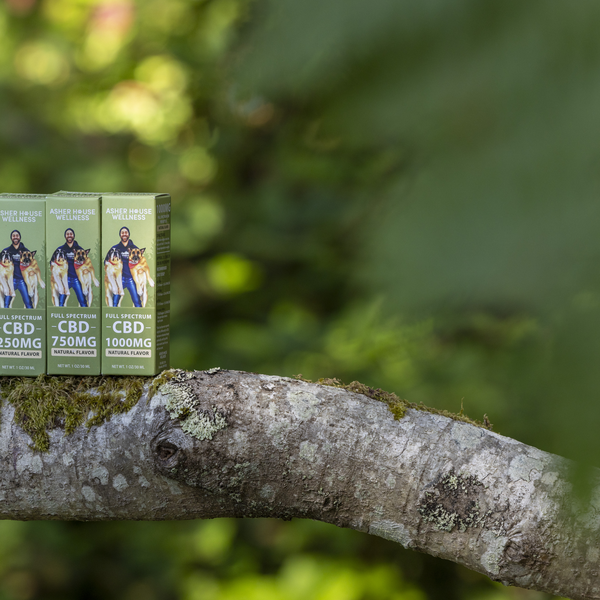 Asher House Wellness Launches Targeted Pet Wellness Bundles to Support Calm, Comfort, and Longevity in Dogs