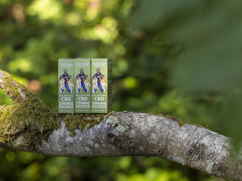 Asher House Wellness Launches Targeted Pet Wellness Bundles to Support Calm, Comfort, and Longevity in Dogs