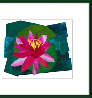 Flowering Lily