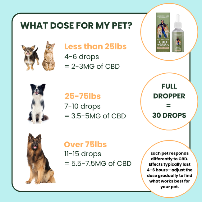 750mg CBD Oil | Calm + Comfort - for Pets-gallery-35118021476561