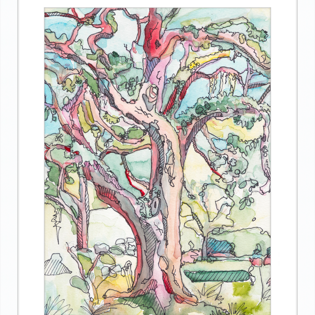 Sunny Oak in Forsyth Park-gallery-48984868421923