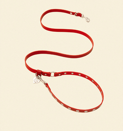 Ruby - Flower Power Leash