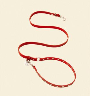 Ruby - Flower Power Leash