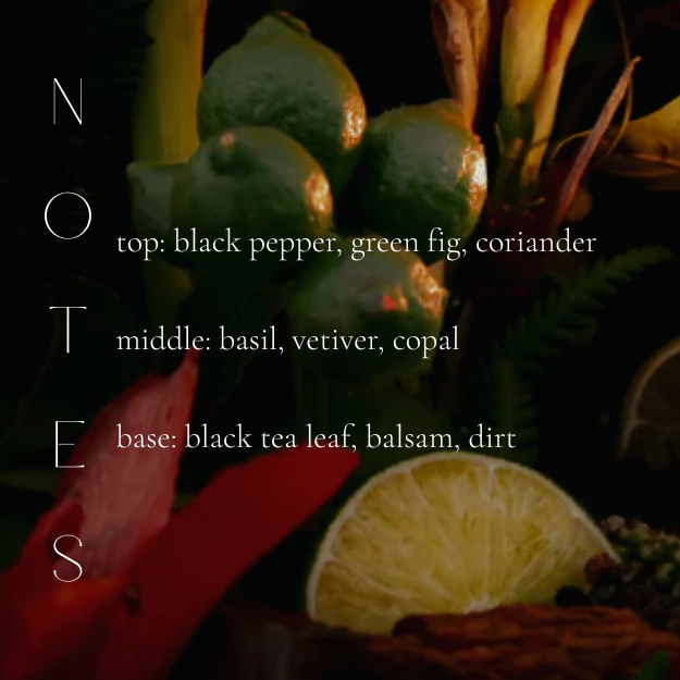 BERGAMOT & BLACK PEPPER CONDITIONER-gallery-40819698172066