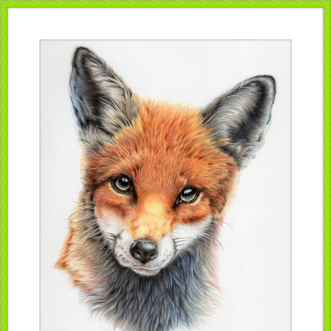 Michael the Red Fox-gallery-49475881304355