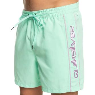 Quiksilver Men's Everyday Vert Volley 16" Boardshorts