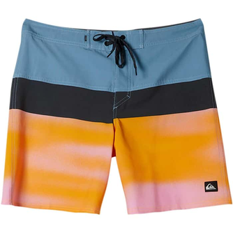 Quiksilver Men's Surfsilk Panel 20 Inch Boardshorts