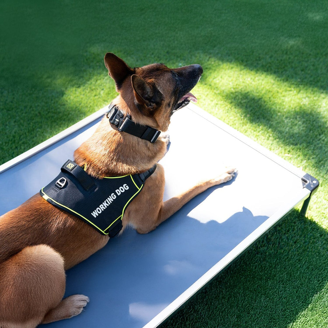 K9 Pro™ Dog Harness-gallery-35768103895179