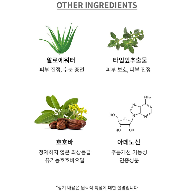 [DressingTable] Blue Tansy Pore Sleeping Pack-gallery-45034888266018