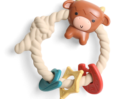 Ritzy Rattle® with Teething Rings