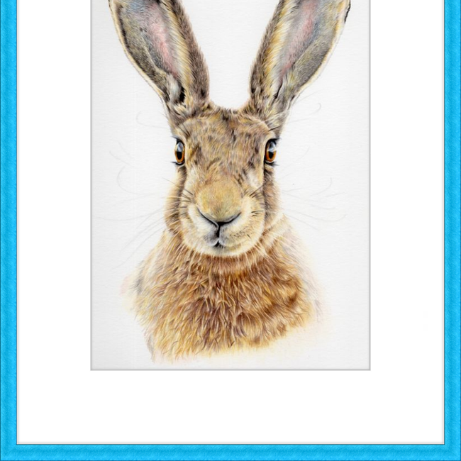 I'm All Ears-gallery-49475771171107