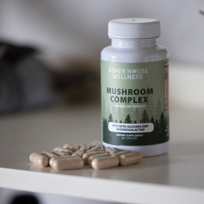 Mushroom Complex Supplement | Defense + Focus-gallery-35118026227921