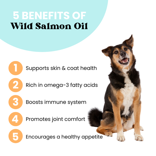 Wild Alaskan Salmon & Pollock Oil | Brain + Heart - for Pets-gallery-35118016331985