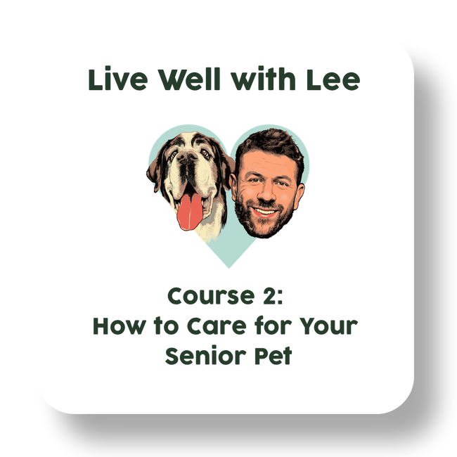 Live Well with Lee Course 2: How to Care for Your Senior Pet-gallery-35205418320081