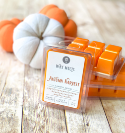 Fall Wax Melts Autumn Harvest - Orange 3 oz