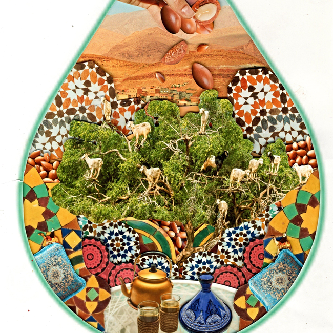 Argan Oil, 100% Organic-gallery-36926556897457