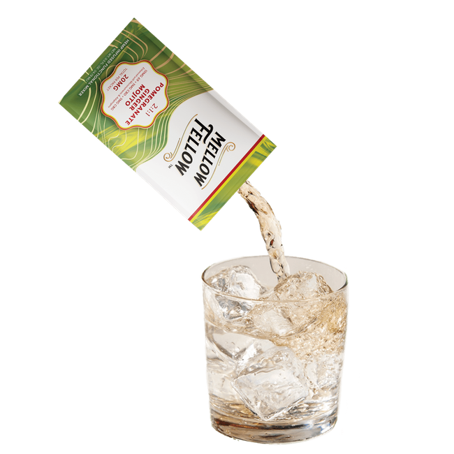 Delta 9 + CBD & CBG Mixers 10pc - Pomegranate Ginger Mojito-gallery-38754489499854