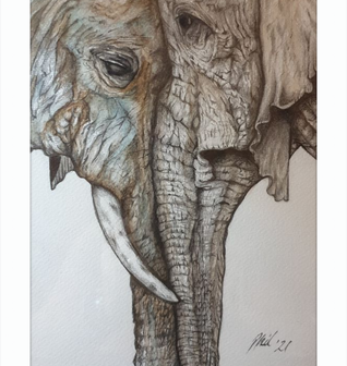 Mother and Child Elephants