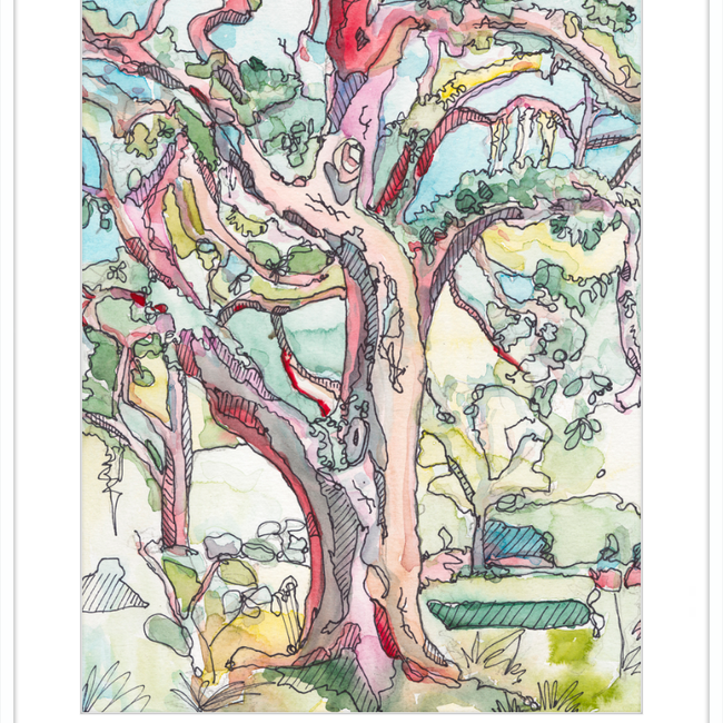 Sunny Oak in Forsyth Park-gallery-48984867930403