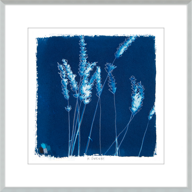 Lavender-gallery-48954371113251