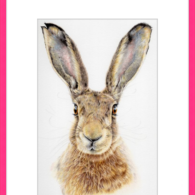 I'm All Ears-gallery-49475769565475
