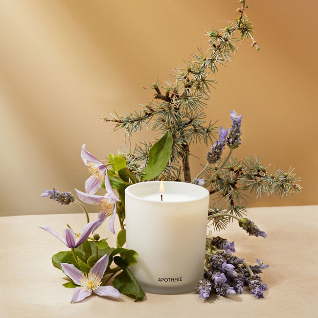 Hinoki Lavender Classic Candle-gallery-31742140383297