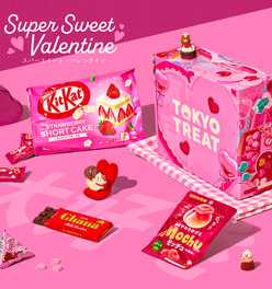 TokyoTreat’s February Box: Super Sweet Valentine