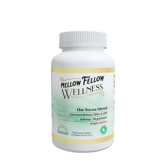 The Focus Blend - 600mg - Tropic Medley