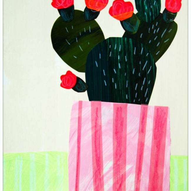 Emerald Cactus-gallery-48957574316323