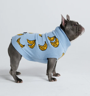 Banana Knit Dog Sweater