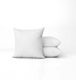 Delara Down and Feather Organic Pillow Insert Pair