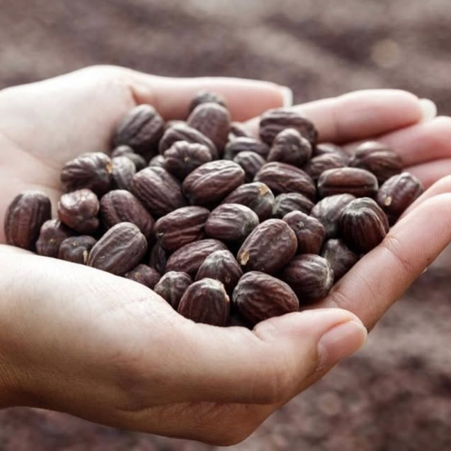 Santal + Jojoba Oil, 100% Organic-gallery-39501466173617