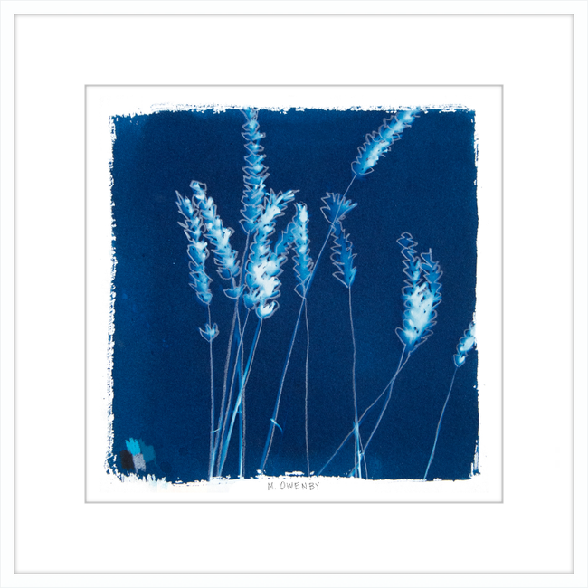 Lavender-gallery-48954440941859