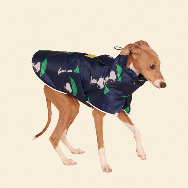 Snoopy and Woodstock Raincoat - Navy-gallery-61760236912926