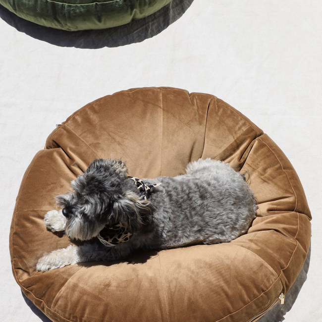 Laurel Nutmeg Round Velvet Dog Bed Public Relations Media Kit Press