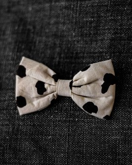 Apollo Dot Print Bow Tie