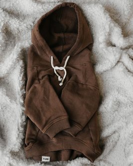 Ziggy Coffee Dog Hoodie