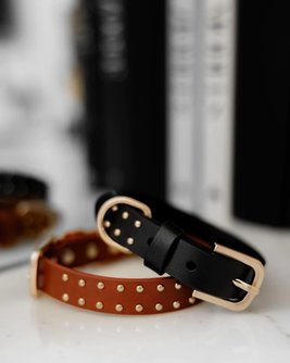 What a Stud Black Leather Dog Collar