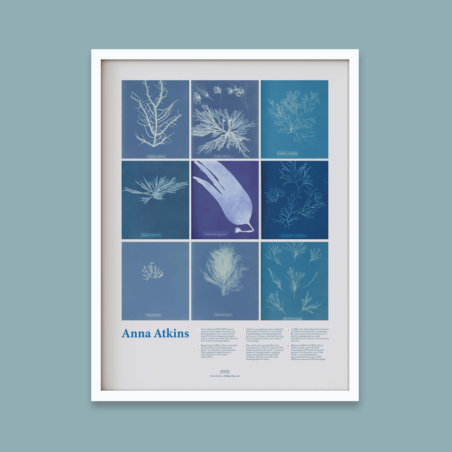 Anna Atkins Cyanotype Print-gallery-44322496184566