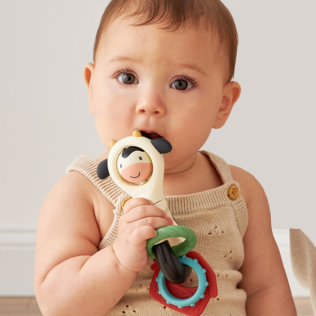 Itzy Spinner™ Rattle-gallery-38386560139435