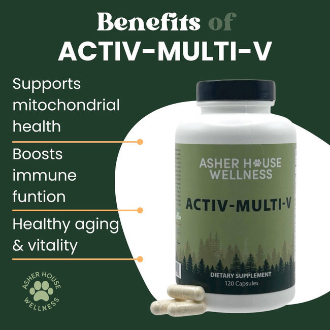Activ-Multi-V | Energy + Defense-gallery-35118028357841