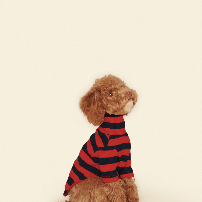 Ivy League Shirt-gallery-61904990044446