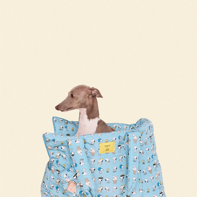 Snoopy Chillin Carrier - PEANUTS-gallery-61734263685406