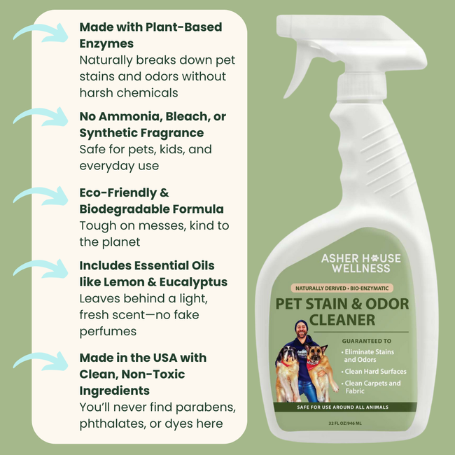 Pet Stain & Odor Cleaner-gallery-35118017872081