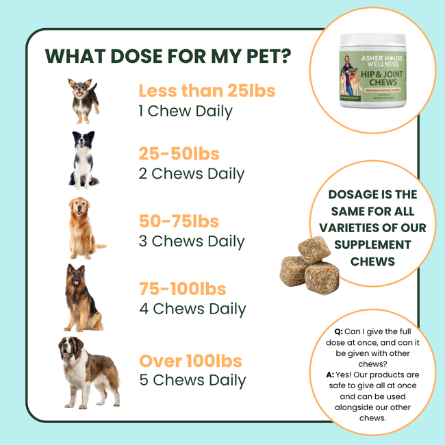 Hip & Joint Chews | Flex + Relief-gallery-35118018068689