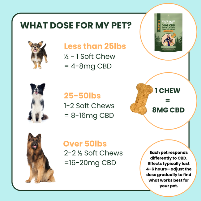 CBD Soft Chews | Calm + Comfort - for Pets-gallery-35118023082193