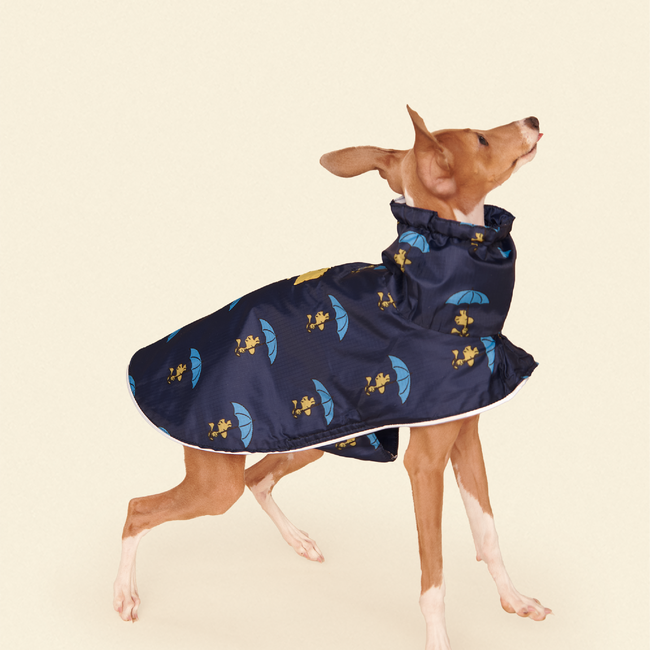 Snoopy and Woodstock Raincoat - Navy-gallery-61760237043998
