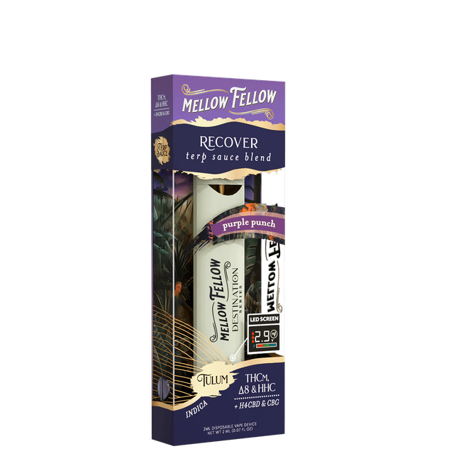 Recover Blend - Terp Sauce 2ml Disposable Vape - Purple Punch (Indica)-gallery-37327637643470